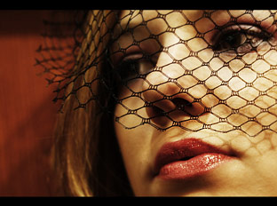 Galeriebild