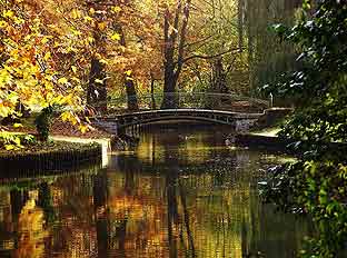 Galeriebild