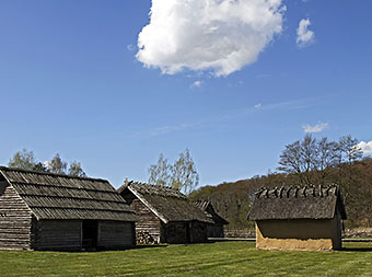 Galeriebild